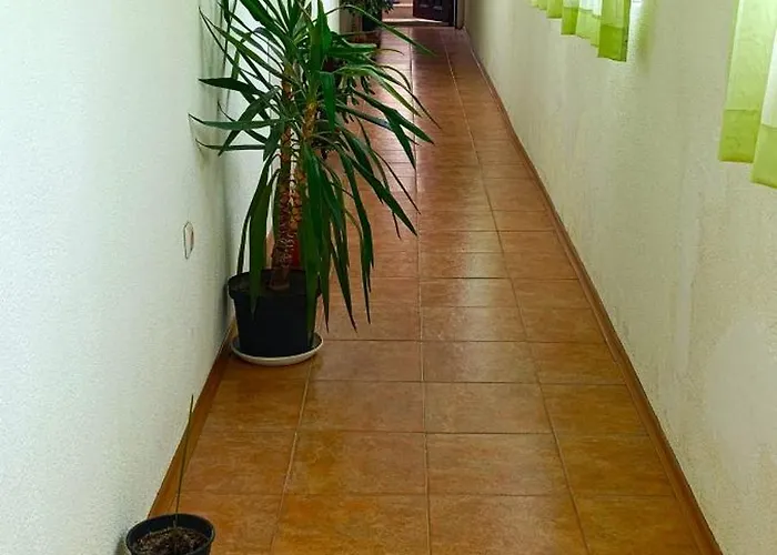 ,,лозница гт