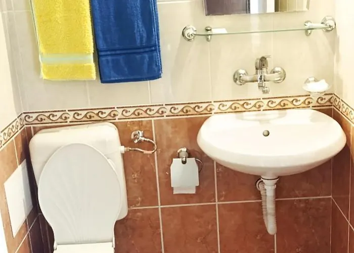 ,,лозница гт