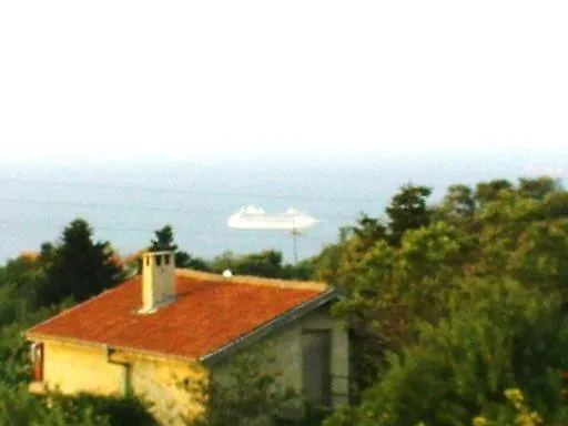 ,,лозница гт