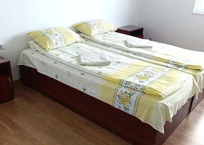 ,,лозница гт