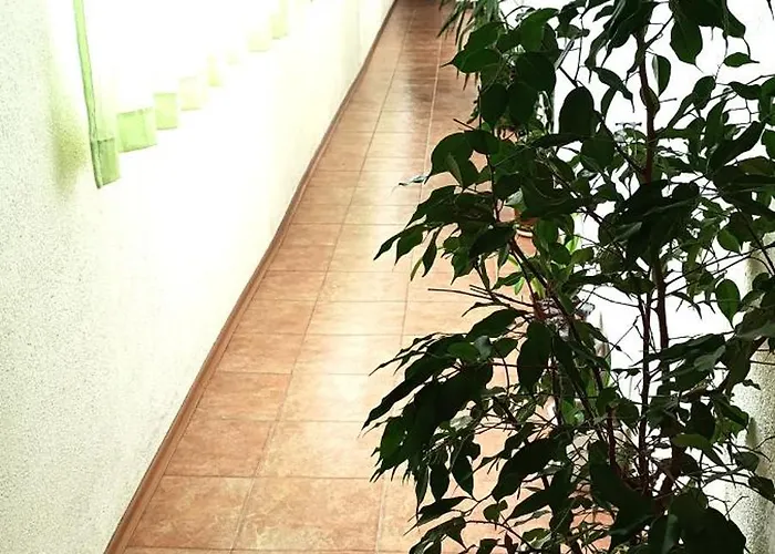 ,,лозница гт